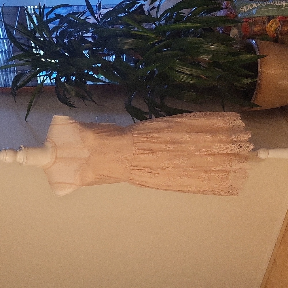 Elegant Lace Sleeveless Dress in Blush